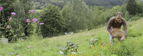 Autour de Colmar, une bio florissante Autour de Colmar, une bio florissante